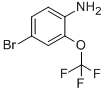 175278-09-84-溴-2-(三氟甲氧基)苯胺