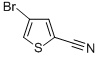 18791-99-64-溴噻吩-2-甲腈