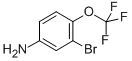 191602-54-73-溴-4-(三氟甲氧基)苯胺