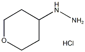 194543-22-1四氢吡喃-4-肼盐酸盐