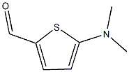 24372-46-15-二甲氨基噻吩-2-甲醛