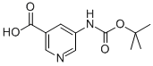 337904-92-45-BOC-氨基烟酸