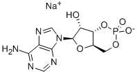 37839-81-9环腺苷-5-单磷酸一钠