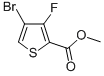 395664-56-94-溴-3-氟-2-噻吩甲酸甲酯