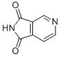 4664-01-13,4-吡啶二甲酰亚胺