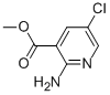 50735-33-62-氨基-5-氯烟酸甲酯