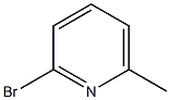 5315-25-32-溴-6-甲基吡啶