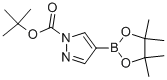 552846-17-01-Boc-吡唑-4-硼酸频哪醇酯