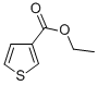 5751-80-4噻吩-3-甲酸乙酯