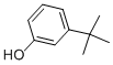 585-34-23-叔丁基苯酚