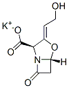 61177-45-5克拉维酸钾