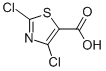 62019-56-12,4-二氯-5-噻唑羧酸