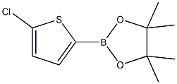 635305-24-75-氯噻吩-2-硼酸频哪醇酯