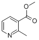 65719-09-72-甲基烟酸甲酯
