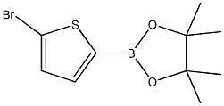 676501-84-15-溴噻吩-2-硼酸频哪醇酯