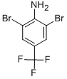 72678-19-44-氨基-3,5-二溴三氟甲苯