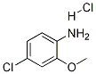 861299-14-12-氨基-5-氯苯甲醚盐酸盐