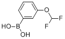 866607-09-2(3-(二氟甲氧基)苯基)硼酸