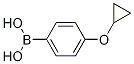 871829-90-24-环丙氧基苯硼酸