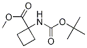 880166-10-91-((叔丁氧基羰基)氨基)环丁烷羧酸甲酯