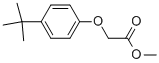 88530-52-32-(4-(叔丁基)苯氧基)乙酸甲酯
