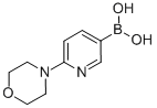 904326-93-86-(4-吗啉基)-3-吡啶硼酸