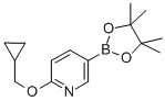 947191-69-76-(环丙基甲氧基)吡啶-3-硼酸频哪醇酯