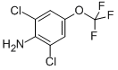99479-66-03,5-二氯-4-氨基三氟甲氧基苯
